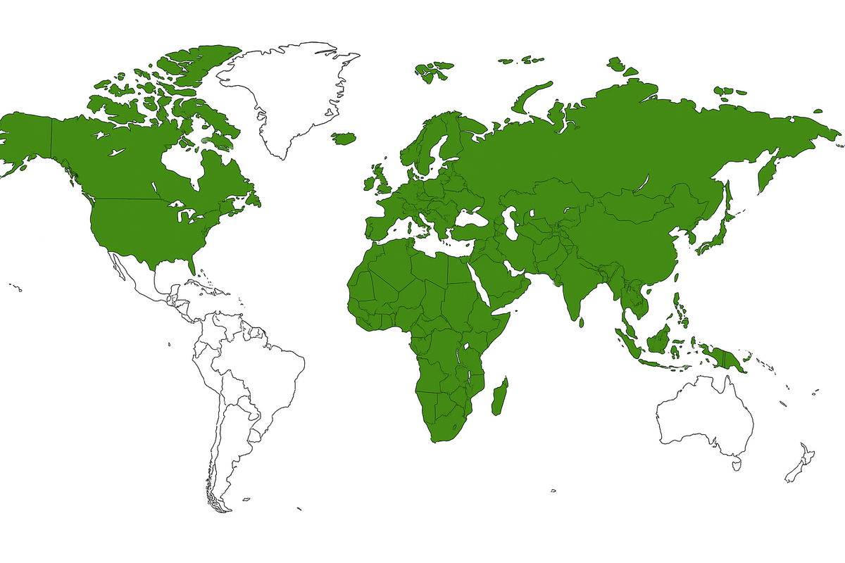 Global Reach - World Map showing our presence across North America, Middle East, Europe, and Asia